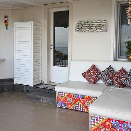 Paradisea تاورمينا المظهر الخارجي الصورة