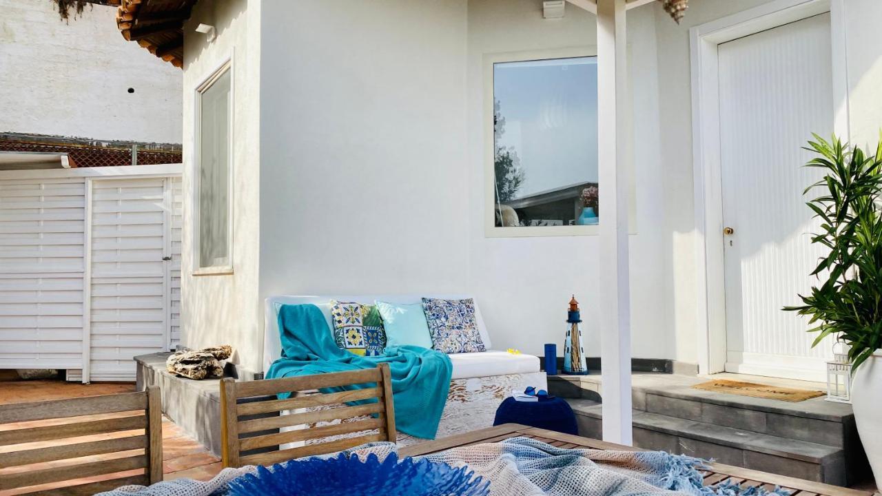 Paradisea تاورمينا المظهر الخارجي الصورة