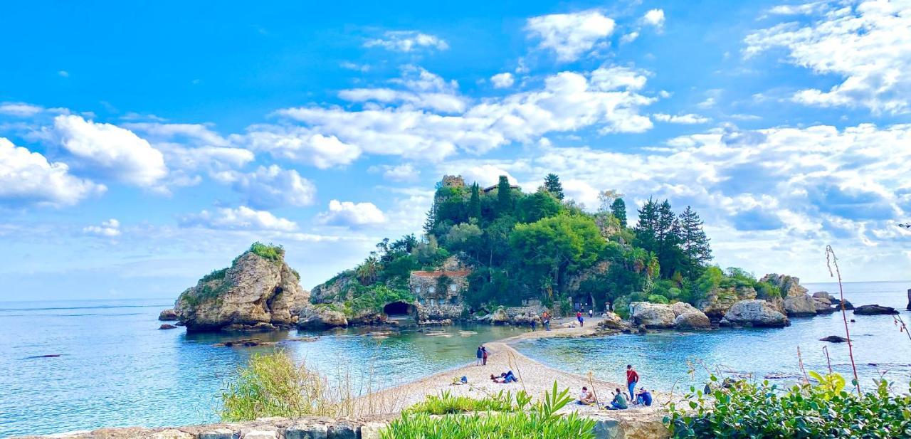 Paradisea تاورمينا المظهر الخارجي الصورة