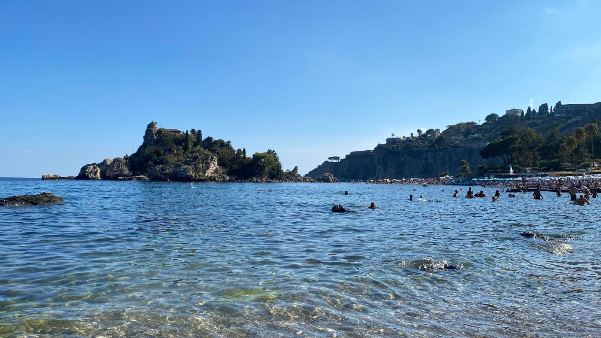 Paradisea تاورمينا المظهر الخارجي الصورة