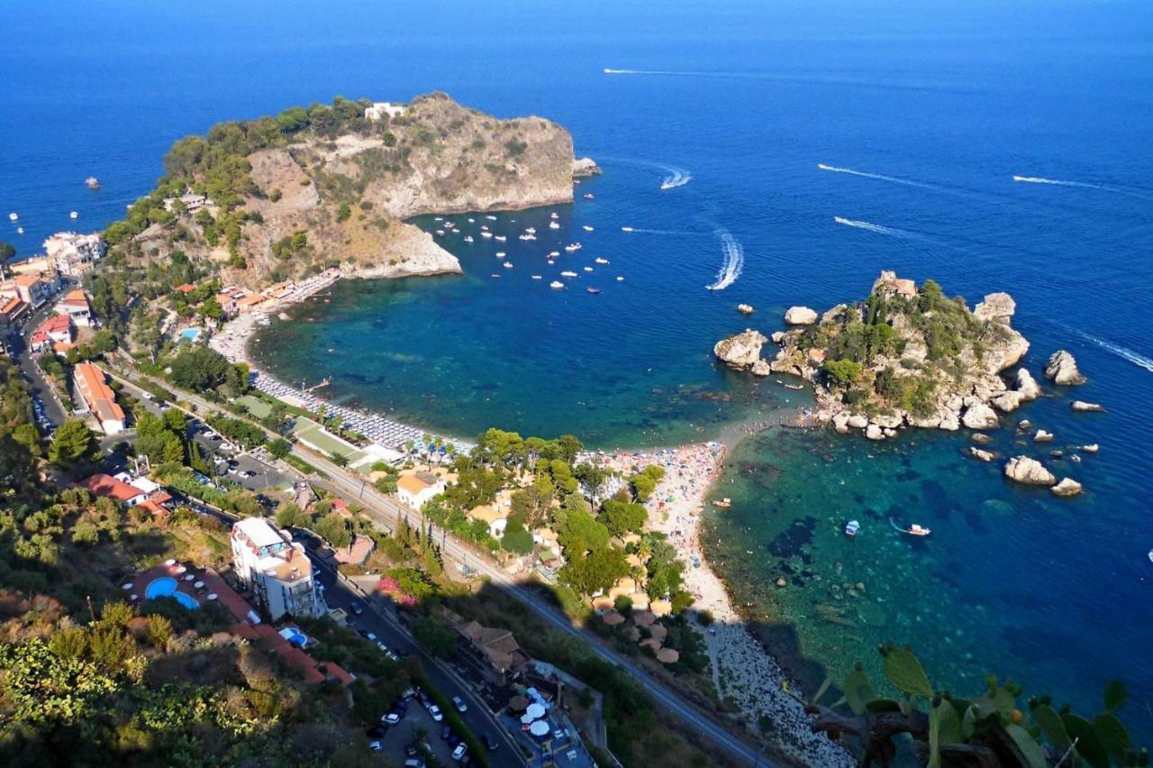 Paradisea تاورمينا المظهر الخارجي الصورة