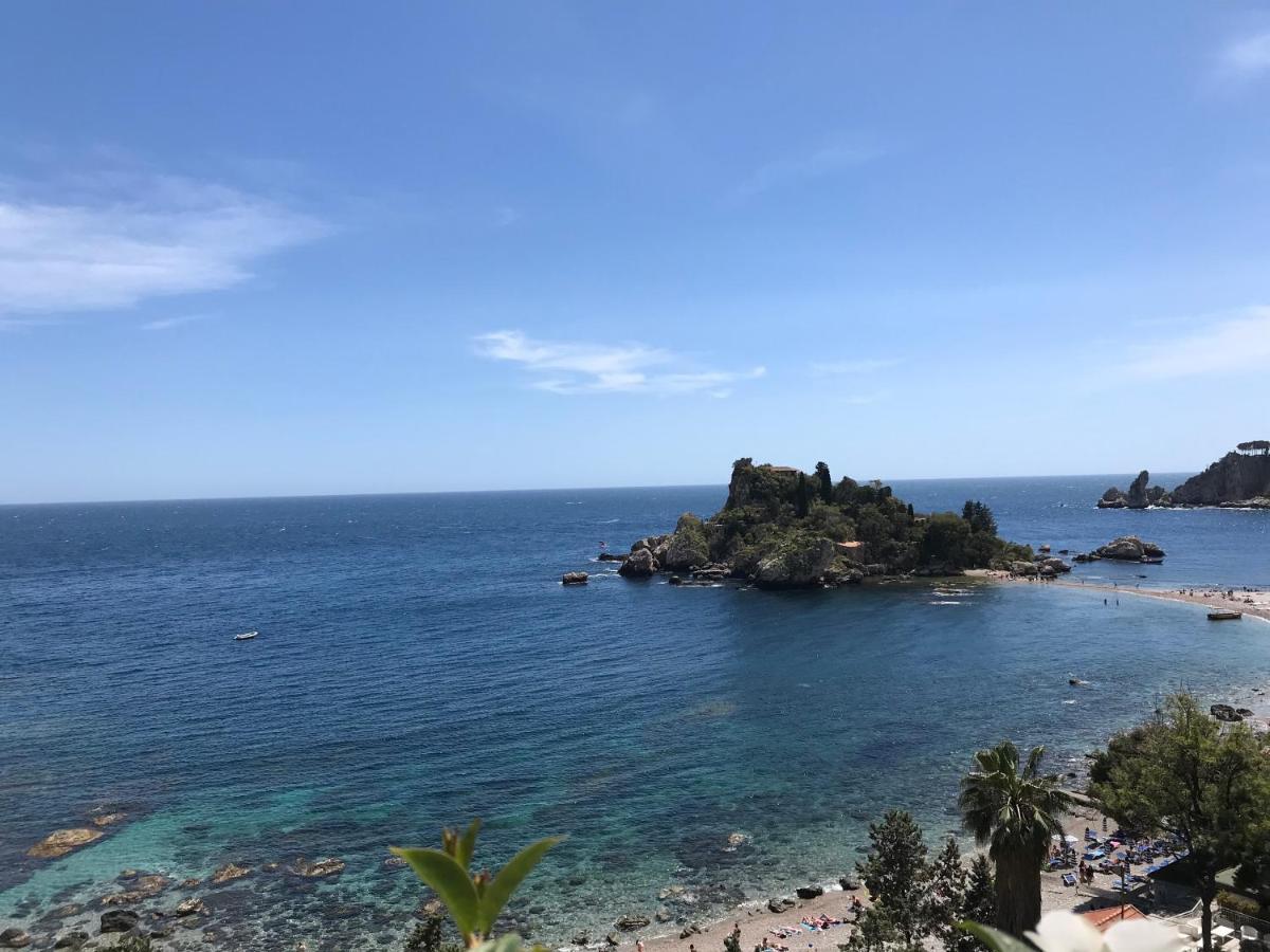 Paradisea تاورمينا المظهر الخارجي الصورة