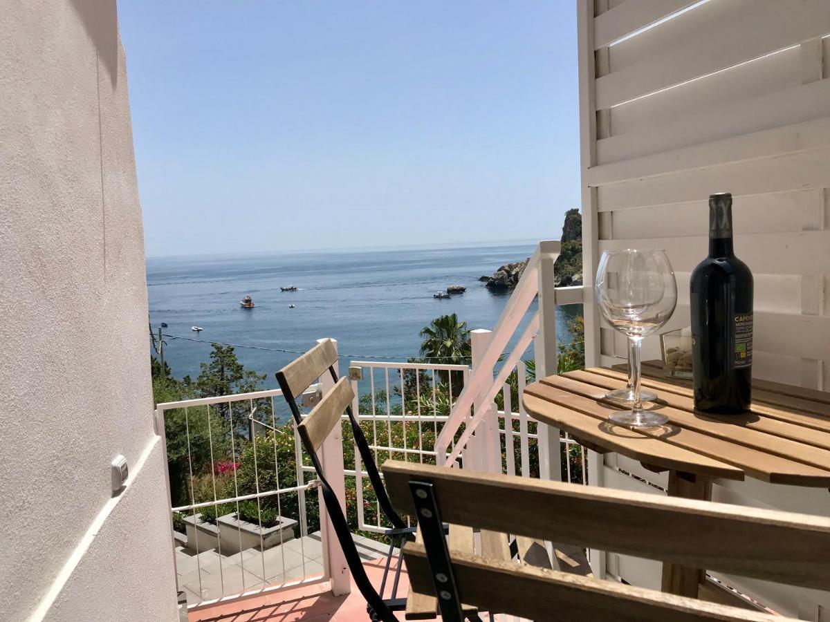 Paradisea تاورمينا المظهر الخارجي الصورة